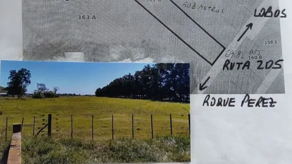 Campo en RUTA 205