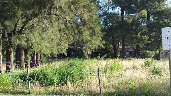 Lote en NECOCHEA