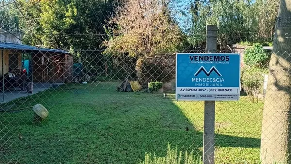 Lote en CARDO AZUL 300