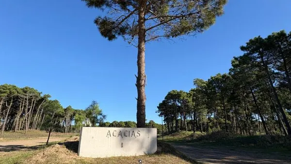 Lote en Av