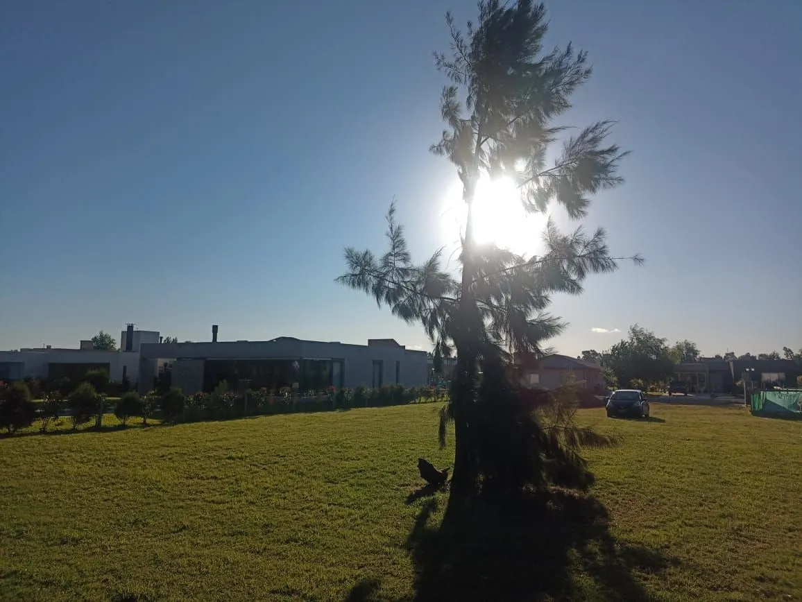 Lote en la magdalena