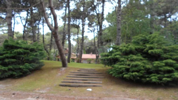 Lote en Jupiter