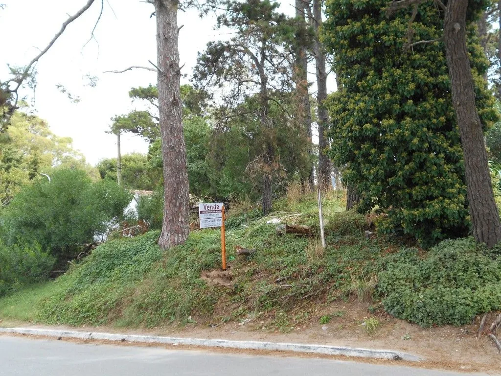 Lote en Del Valle Férti