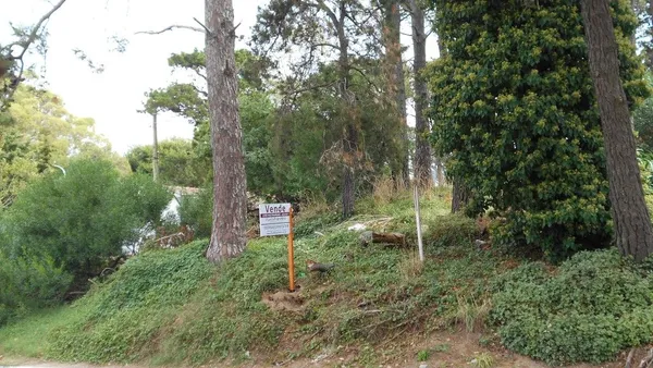 Lote en Del Valle Férti