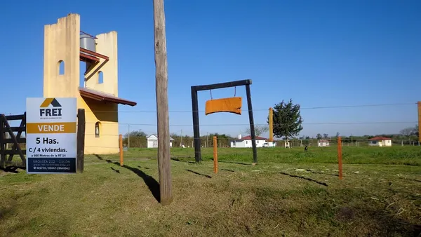 Campo