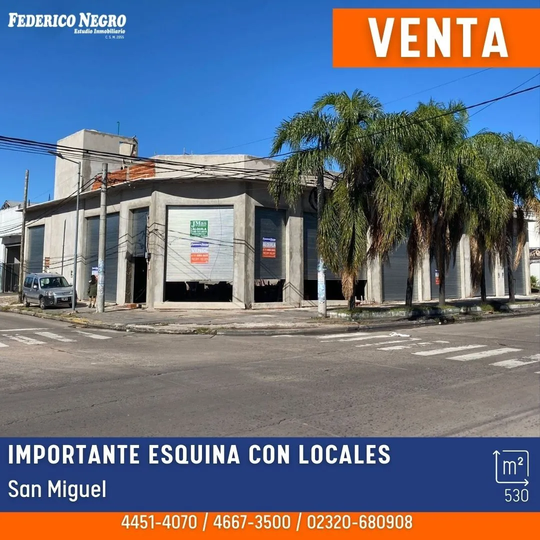 Local Comercial en Concejal Tribula 100