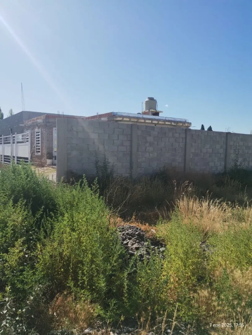 Lote en