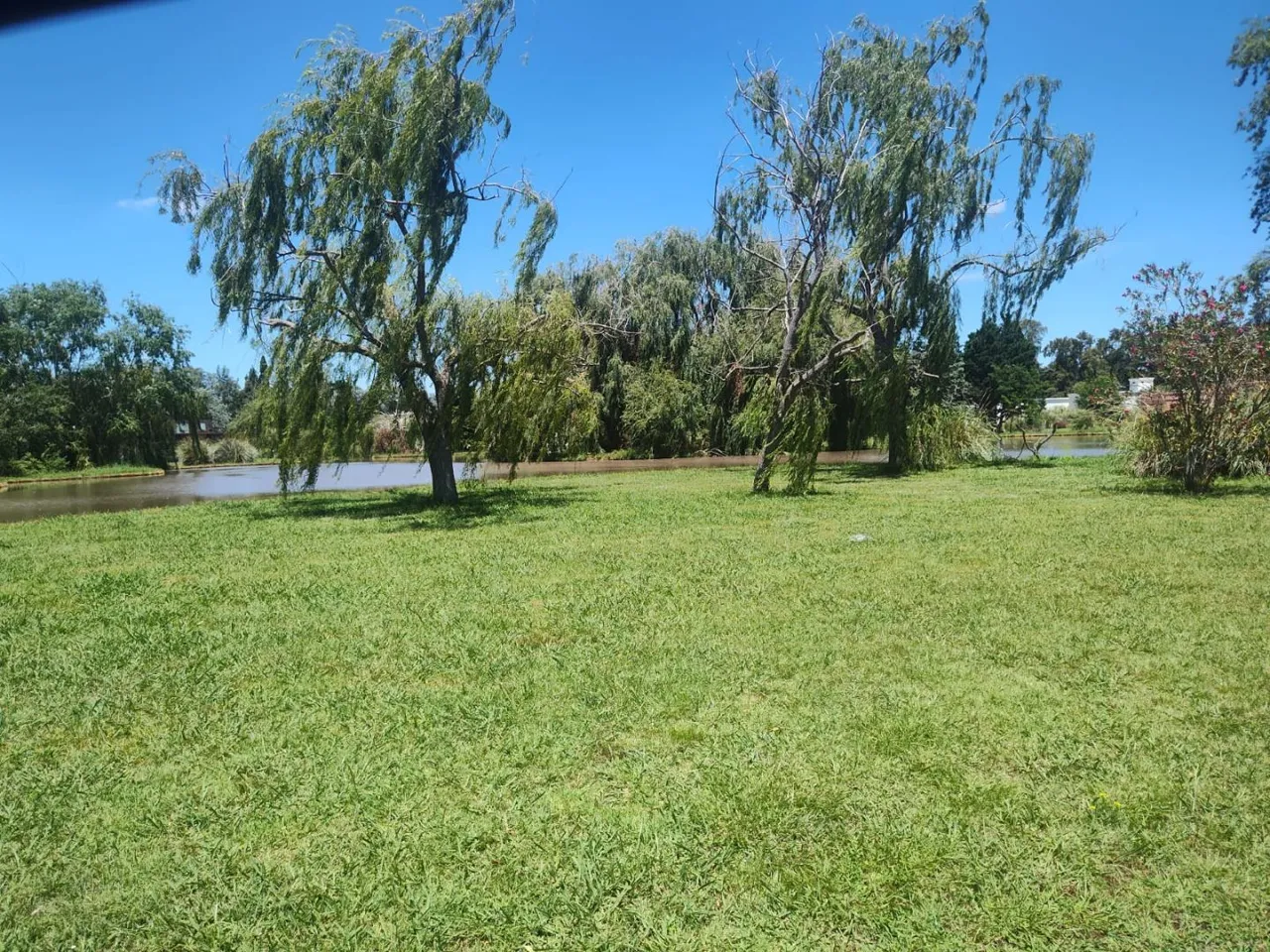Lote en Casuarinas del P