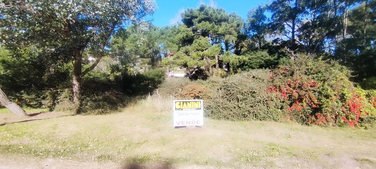Lote en Camino de los Pi 500