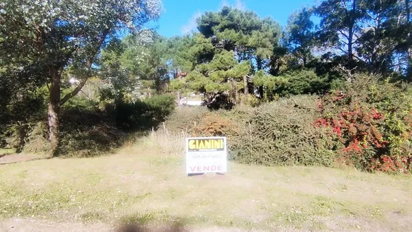Lote en Camino de los Pi 500