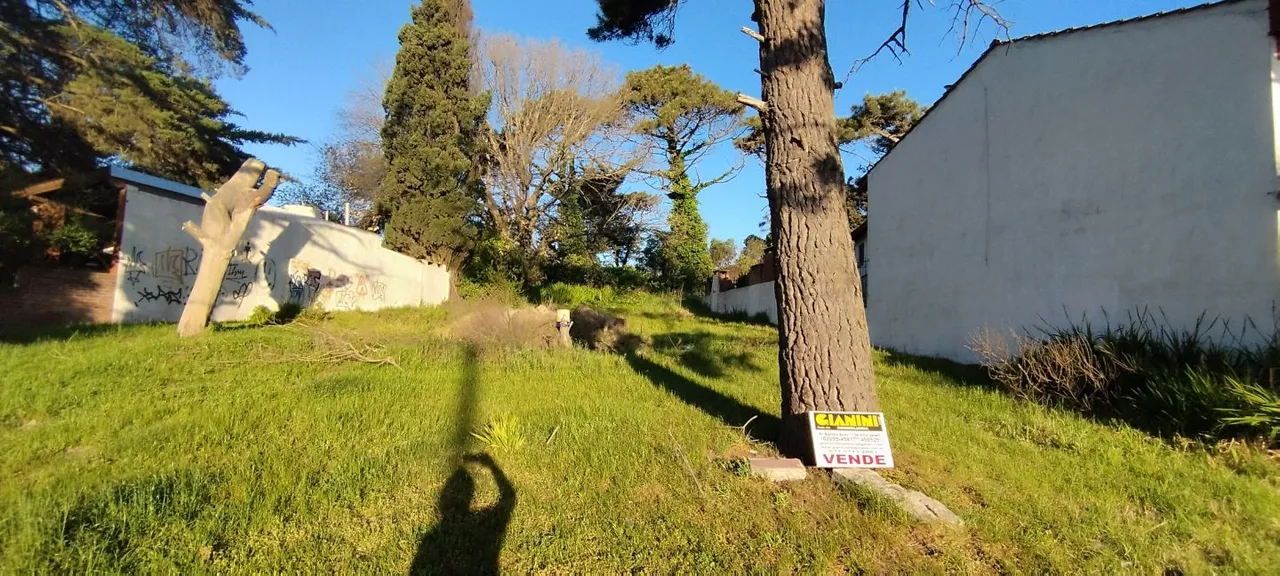 Lote en Paseo 123