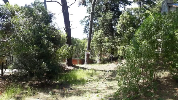 Lote en Pedro Luro