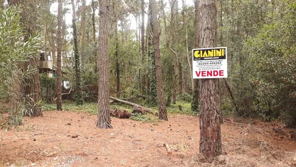 Lote en Macedonio Fernan