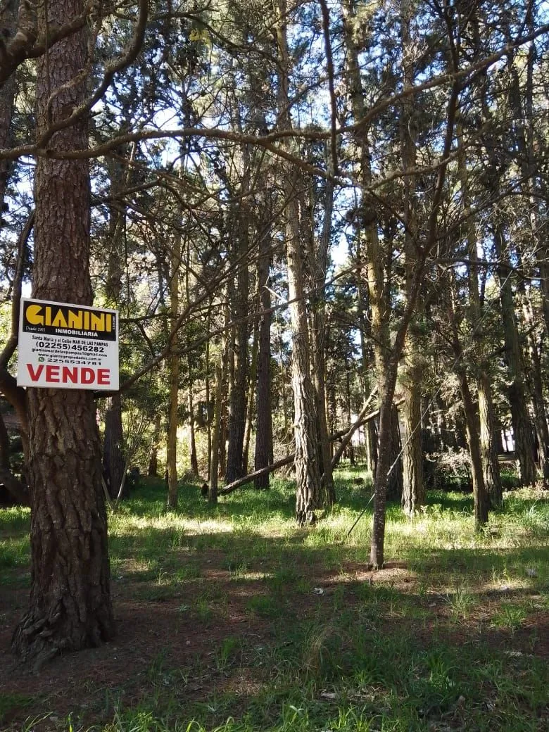 Lote en Av. Del Lucero e