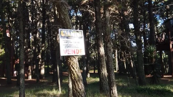 Lote en Parana