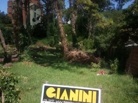Lote en Paseo 113 100
