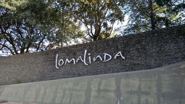 Lote