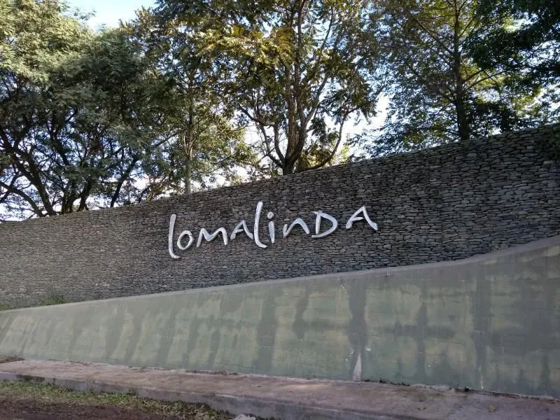 Lote en