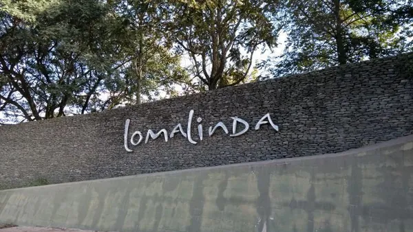 Lote