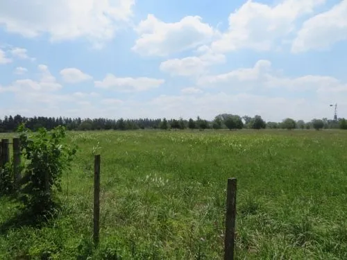 Campo en Open Door - 17 h 200