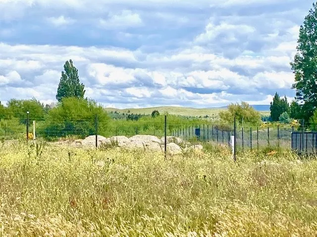 Lote en Estados Unidos 1500