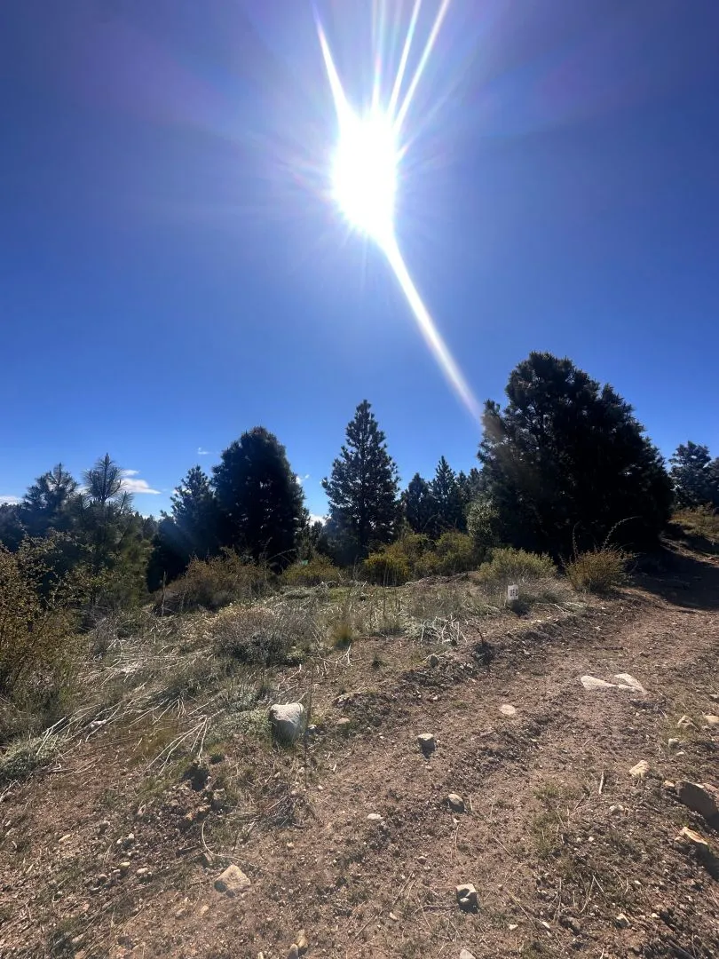 Lote en Paseo de Los Coi