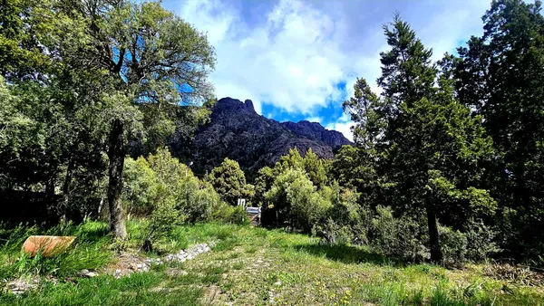 Lote en Av. Cerro de la