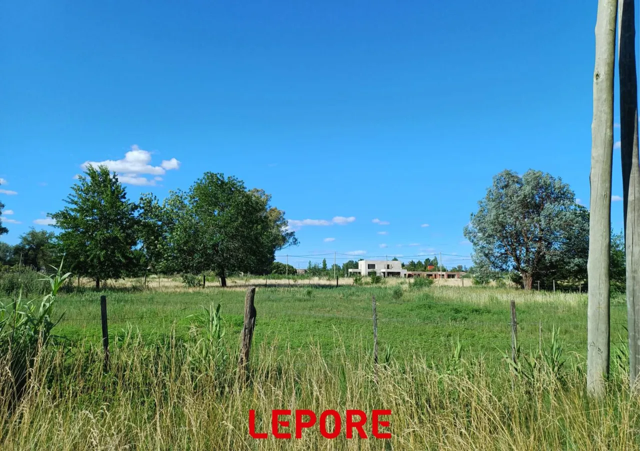 Lote en 144