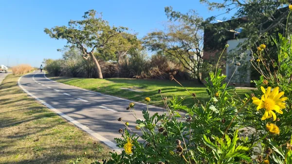 Lote en NATIVAS - PUERTO 100