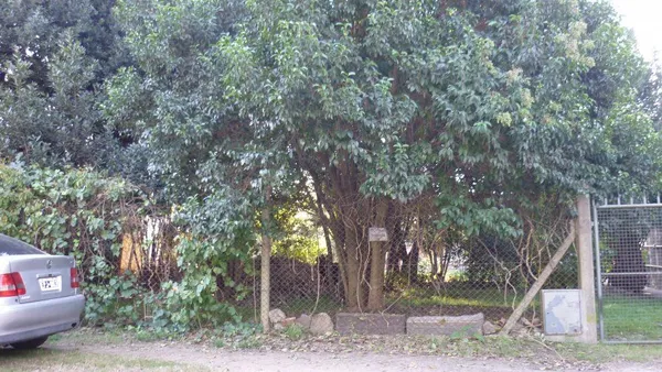 Lote en Tucuman 600