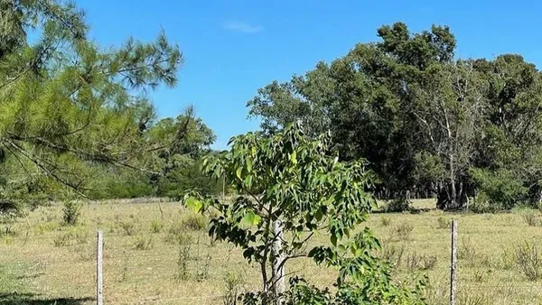 Lote en Calle 90 e/ Espa