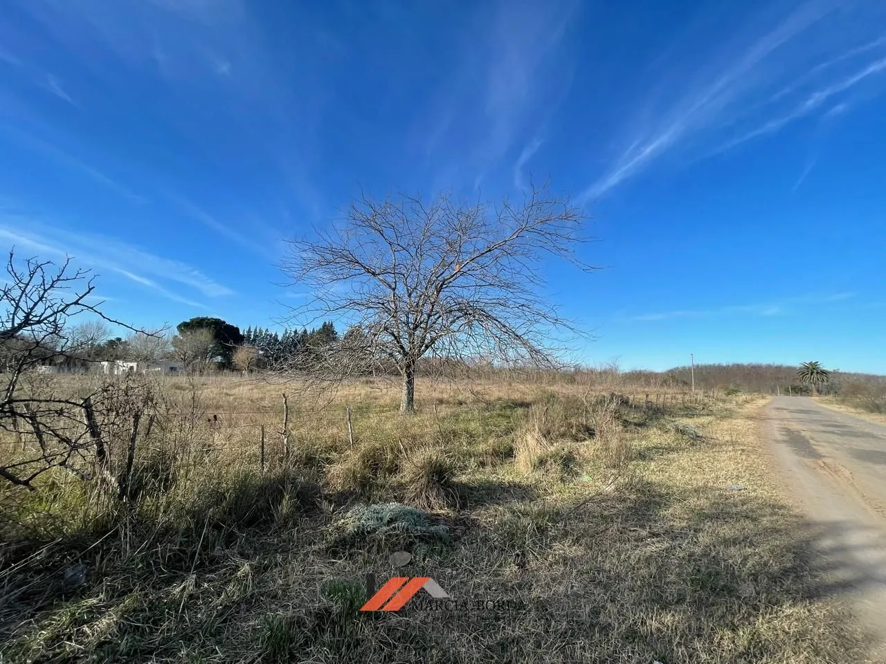 Lote en Avenida Campomar