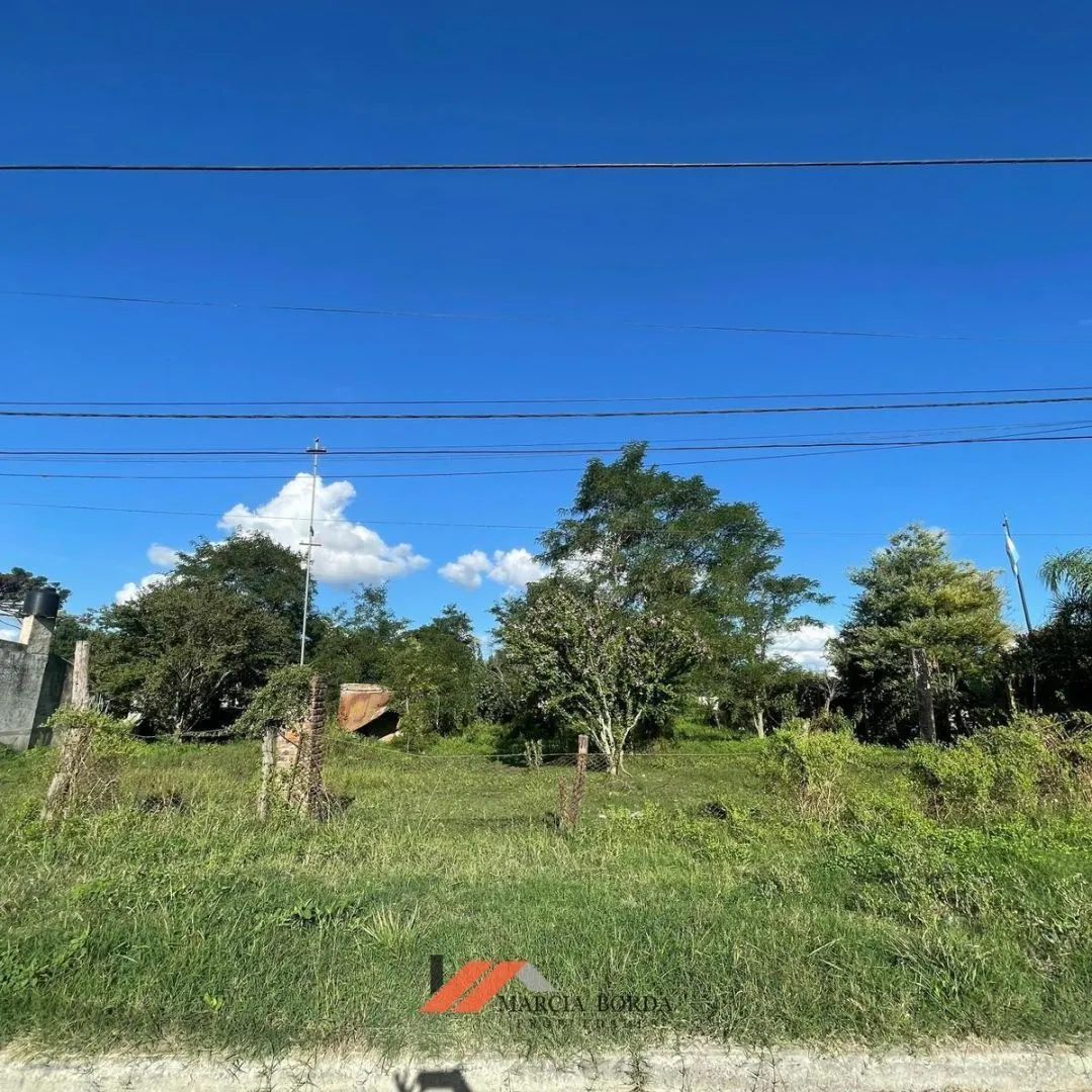Lote en Calle Moreno e/