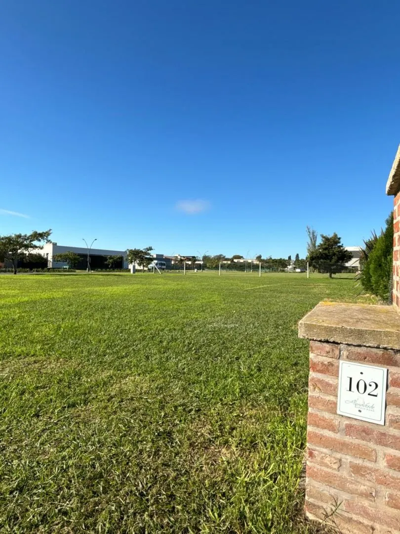 Lote en av Hipolito Irig 1300