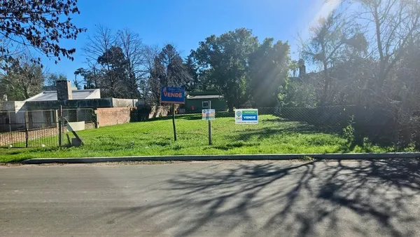 Lote en av Hipolito Irig 1100