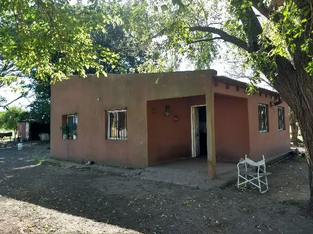 Campo en CAMINO RURAL