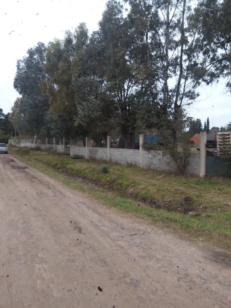 Lote en PEDRO QUIROGA