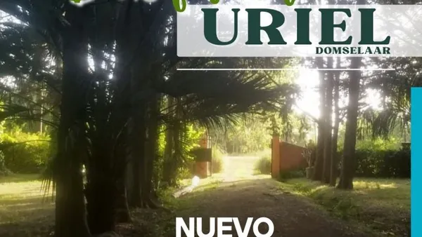 Lote en RUTA 210 54700