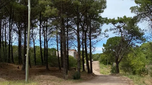 Lote en El Tordo