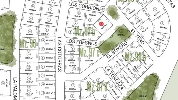 Lote en Los Fresnos