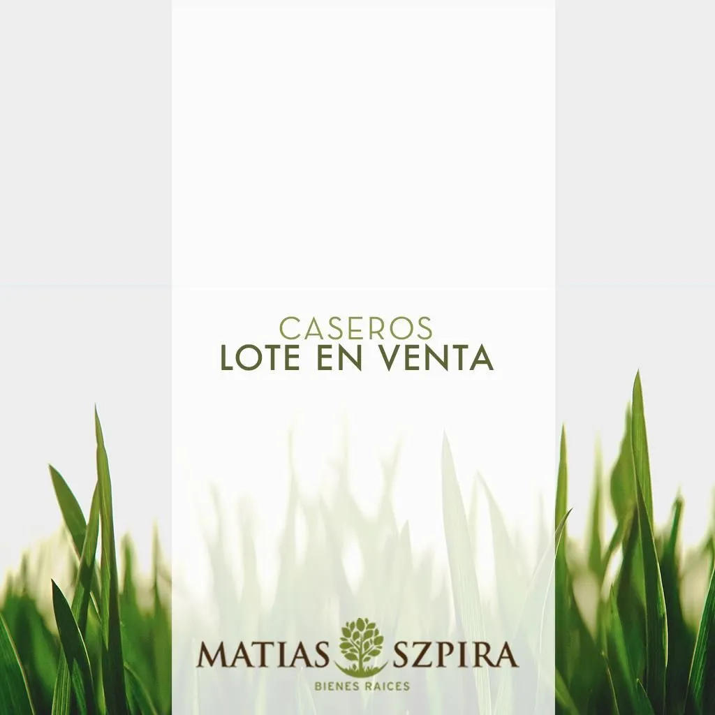 Lote en Carlos Tejedor 4300