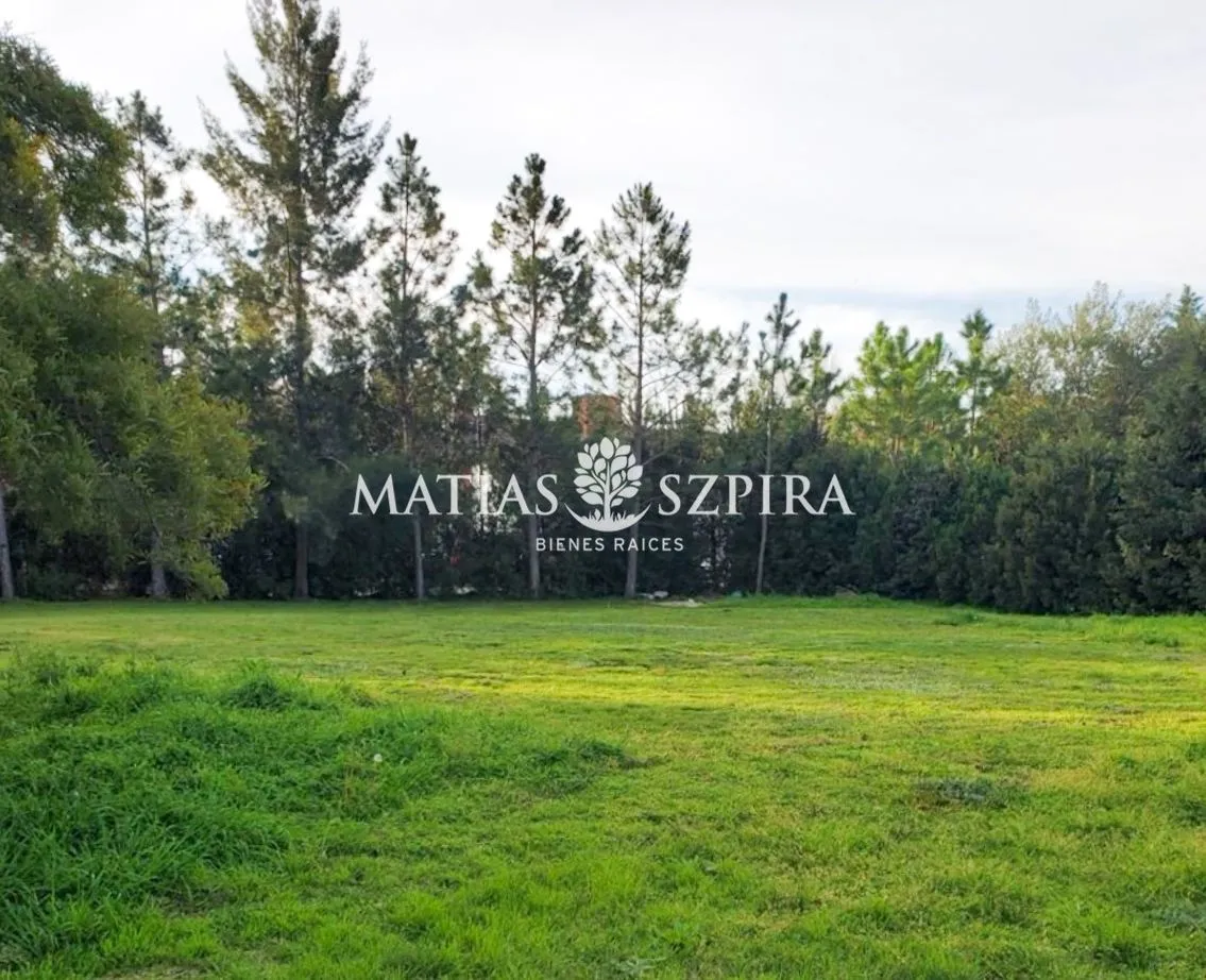 Lote en Ruta 25 km 7,5