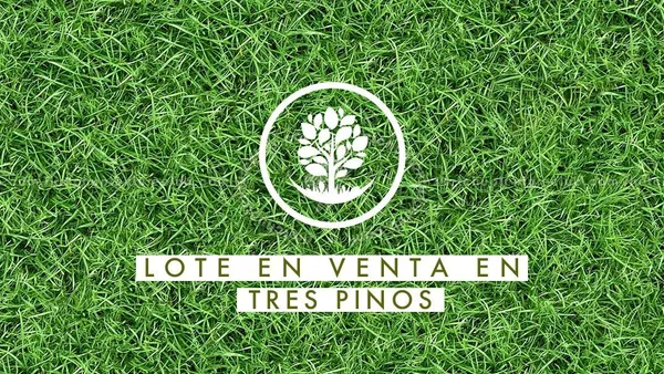 Lote