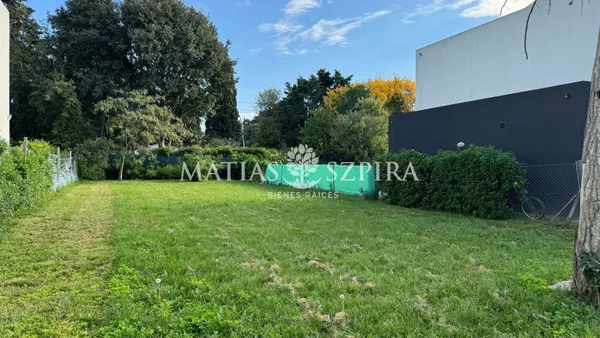 Lote en PIO XII