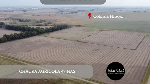 Campo en Union