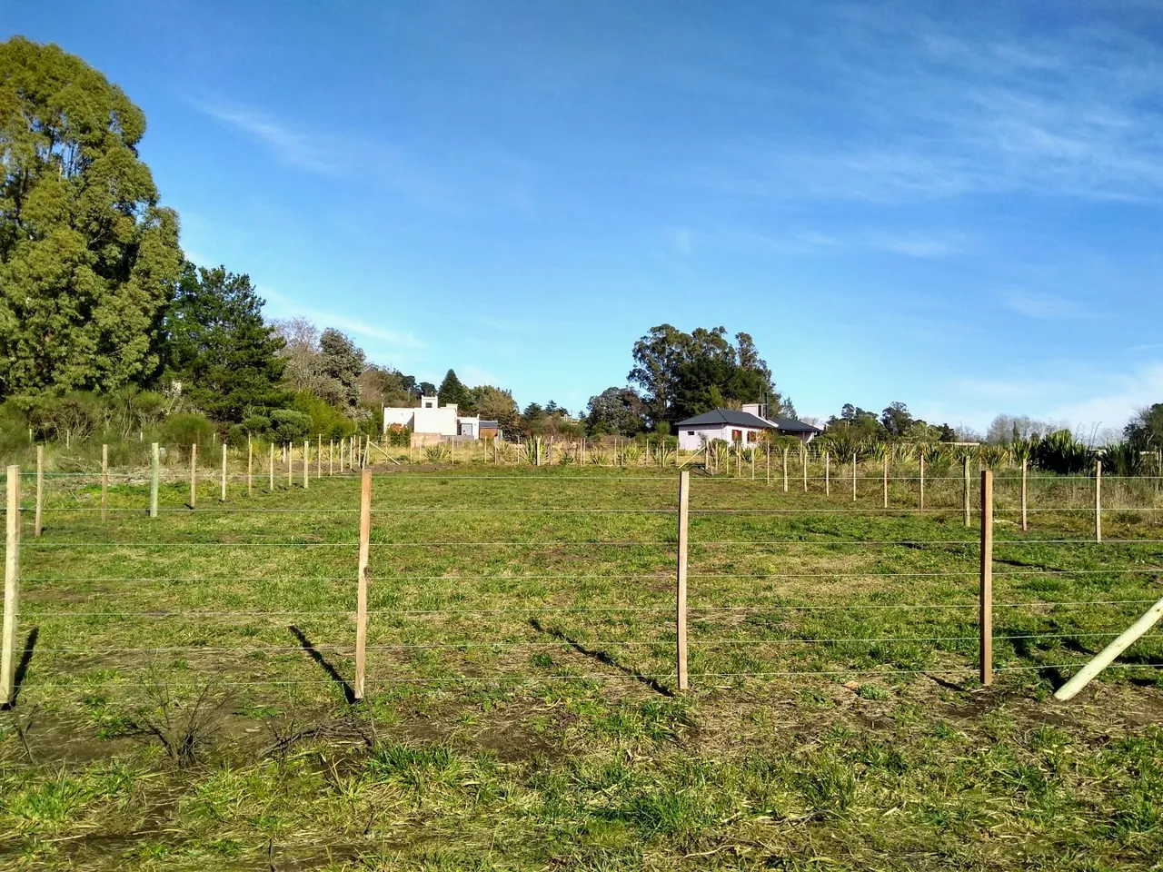 Lote en 49 y 40