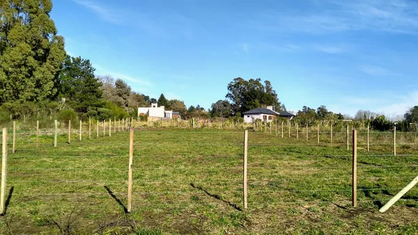Lote en 49 y 40