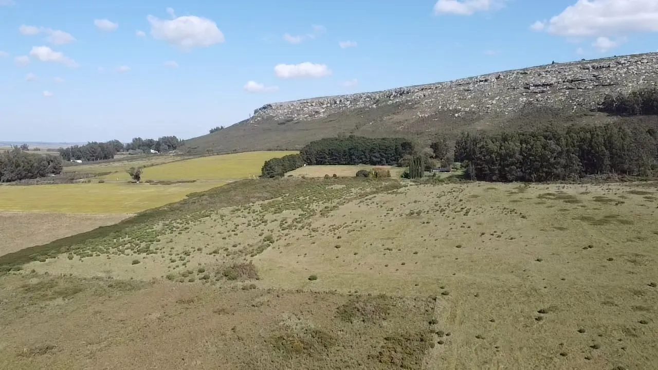 Campo en 63
