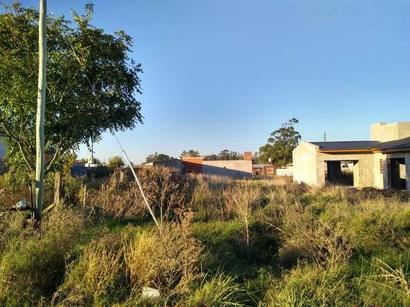 Lote en 19