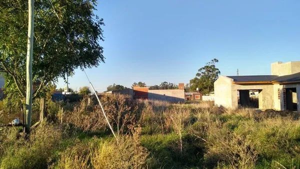 Lote en 19